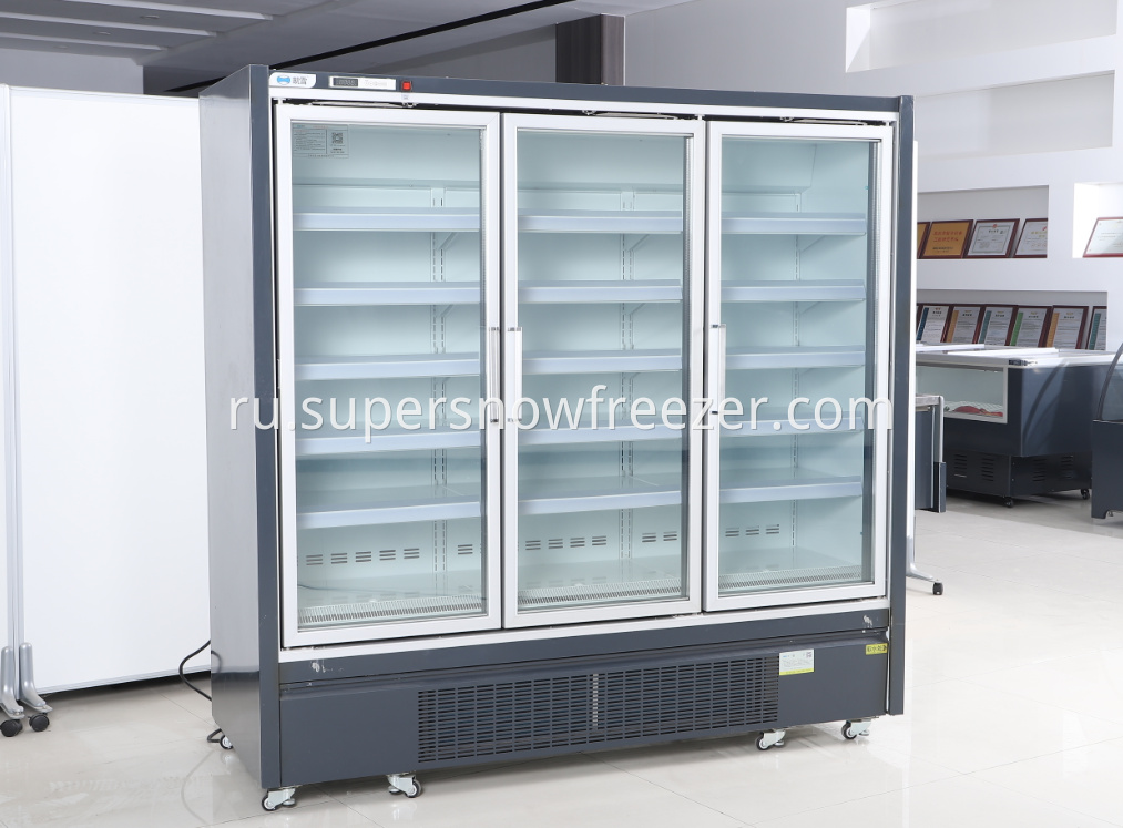 glass door freezer1